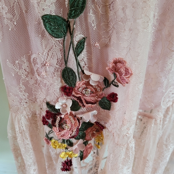 Pink Mary Cottagecore maxy lace dress with floral appliques Velvet accents Y2K - Picture 6 of 13